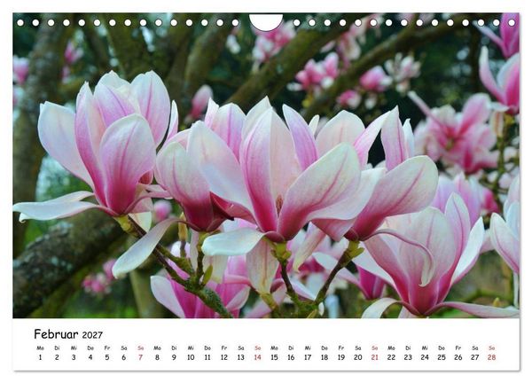 Produktbild: Mein Garten Eine Leidenschaft (Wandkalender 2027 DIN A4 quer), CALVENDO Monatskalender