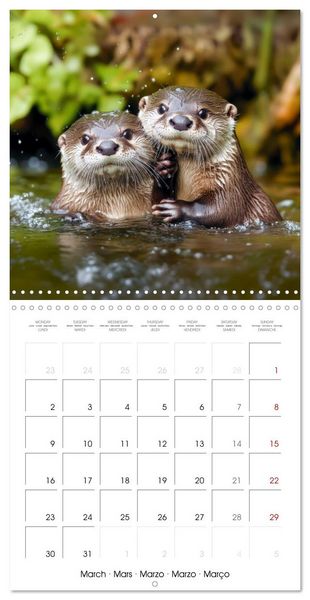 Produktbild: Cute Otter Moments (Wall Calendar 2026 12 &times; 12 Inch) CALVENDO 12 Month Wall Calendar