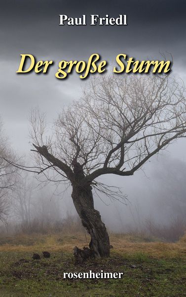 Produktbild: Der gro&szlig;e Sturm