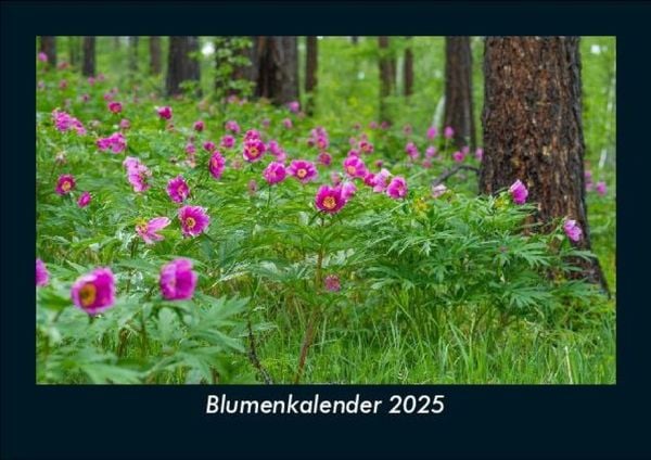 Produktbild: Blumenkalender 2025 Fotokalender DIN A5