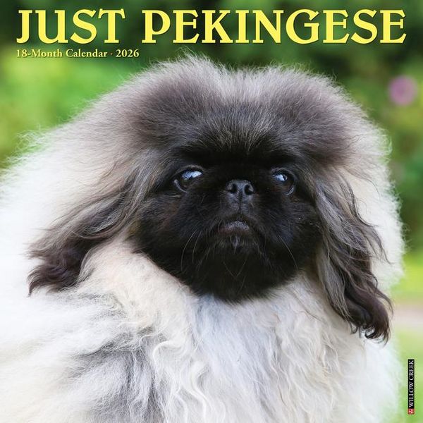 Produktbild: Pekingese 2026 12 X 12 Wall Calendar