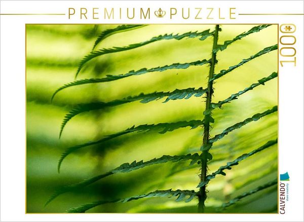 Produktbild: CALVENDO Puzzle Wurmfarn (Dryopteris filix-mas) | 1000 Teile Lege-Gr&ouml;&szlig;e 64x48cm Foto-Puzzle f&uuml;r gl&uuml;ckliche Stunden