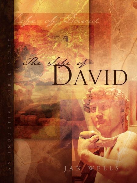 Produktbild: The Life of David