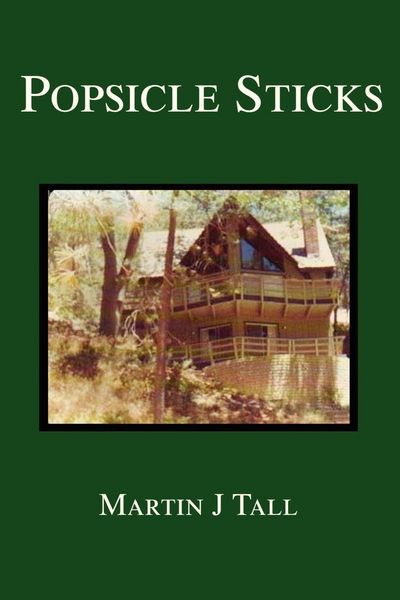 Produktbild: Popsicle Sticks