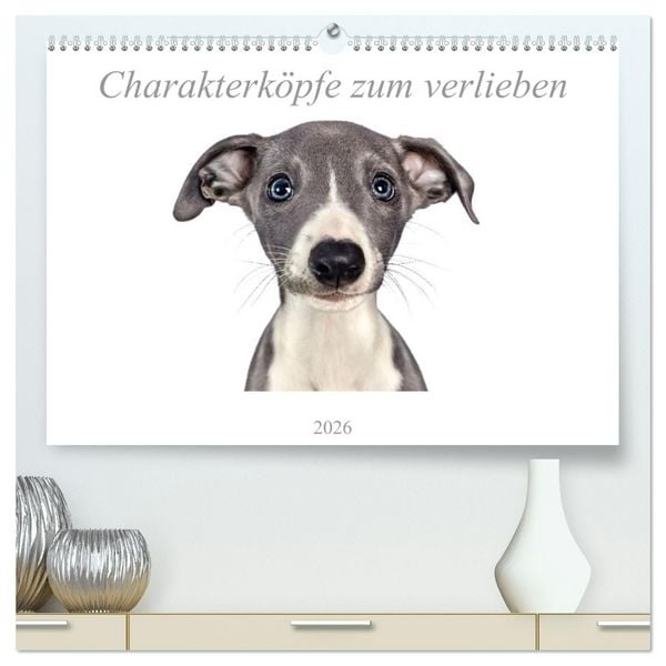 Produktbild: Charakterk&ouml;pfe zum verlieben (hochwertiger Premium Wandkalender 2026 DIN A2 quer), Kunstdruck in Hochglanz