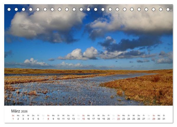 Produktbild: Texel &ndash; Eine Insel die verzaubert (Tischkalender 2026 DIN A5 quer), CALVENDO Monatskalender