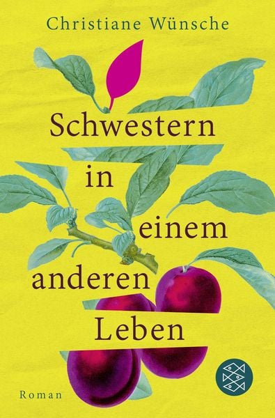 Produktbild: Schwestern in einem anderen Leben