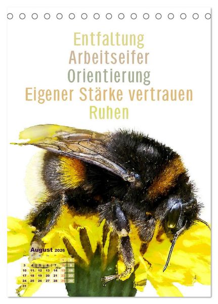 Produktbild: Krafttiere - Inspirierende Begleiter voller Magie und Seele (Tischkalender 2026 DIN A5 hoch), CALVENDO Monatskalender