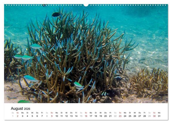 Produktbild: Unterwasserwelt der Malediven III (hochwertiger Premium Wandkalender 2026 DIN A2 quer), Kunstdruck in Hochglanz