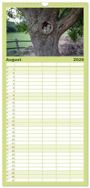 Produktbild: Familienplaner 2026 - Steink&auml;uze (Athene noctua) mit 5 Spalten (Wandkalender, 21 x 45 cm) CALVENDO