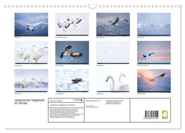 Produktbild: Japanische Vogelwelt im Winter (Wandkalender 2027 DIN A3 quer), CALVENDO Monatskalender