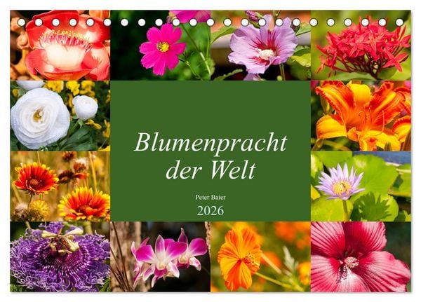 Produktbild: Blumenpracht der Welt (Tischkalender 2026 DIN A5 quer), CALVENDO Monatskalender