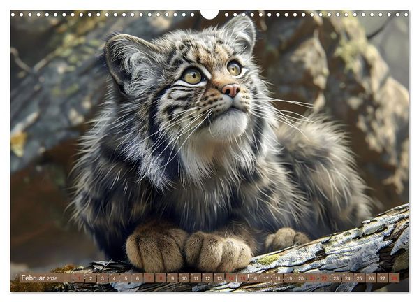Produktbild: Wenn die wilden Katzen leise durch ihr Revier streifen (Wandkalender 2026 DIN A3 quer), CALVENDO Monatskalender