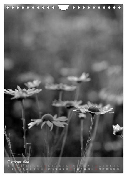 Produktbild: Monochrome Bl&uuml;ten - In Schwarz-Wei&szlig; Bildern durch das Jahr (Wandkalender 2026 DIN A4 hoch), CALVENDO Monatskalender