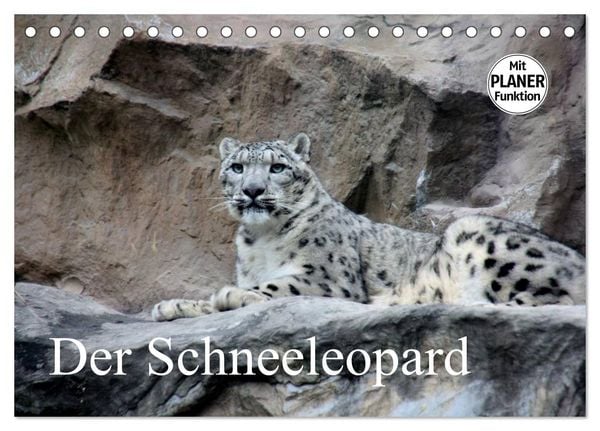 Produktbild: Der Schneeleopard (Tischkalender 2026 DIN A5 quer), CALVENDO Monatskalender