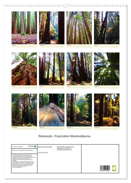 Produktbild: Redwoods - Faszination Mammutb&auml;ume (Wandkalender 2026 DIN A2 hoch), CALVENDO Monatskalender