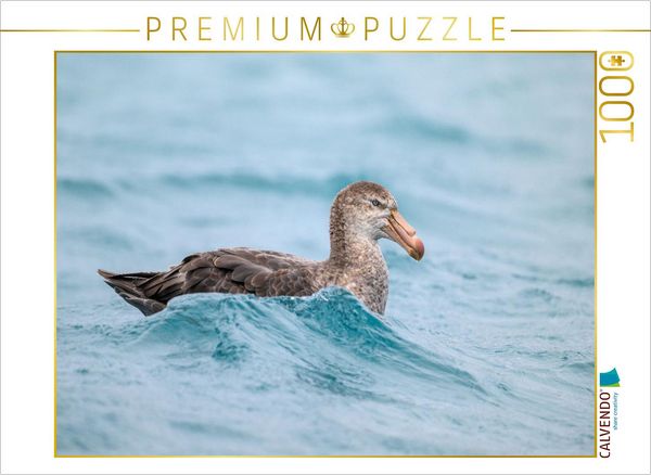 Produktbild: CALVENDO Puzzle Sturmvogel bei Salisbury Plain | 1000 Teile Lege-Gr&ouml;&szlig;e 64x48cm Foto-Puzzle f&uuml;r gl&uuml;ckliche Stunden
