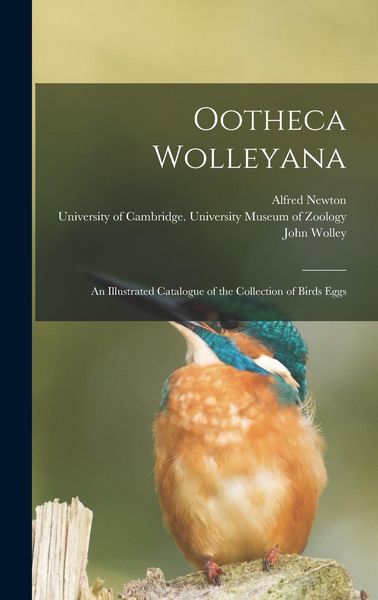 Produktbild: Ootheca Wolleyana