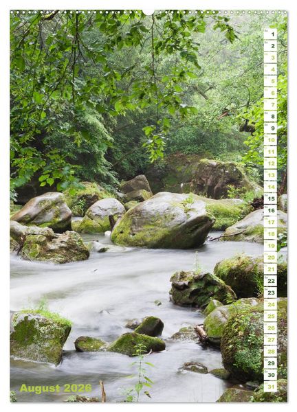 Produktbild: EIFEL - Kraftorte Wald und Wasser (hochwertiger Premium Wandkalender 2026 DIN A2 hoch), Kunstdruck in Hochglanz