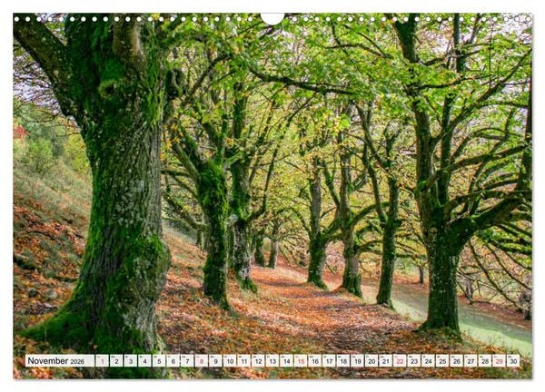 Produktbild: Unser Hesselberg (Wandkalender 2026 DIN A3 quer), CALVENDO Monatskalender
