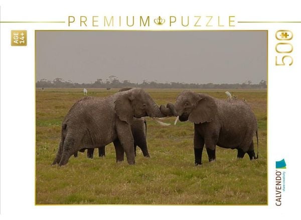 CALVENDO Puzzle Spielstunde der Elefanten in freier Wildbahn. Kenia | 500 Teile Lege-Größe 48 × 36 cm Foto-Puzzle für Erwachsene