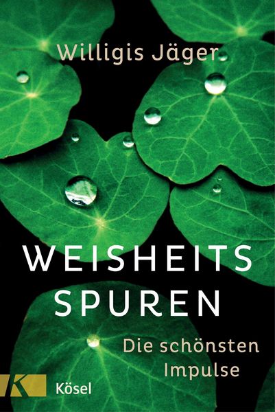 Produktbild: Weisheitsspuren