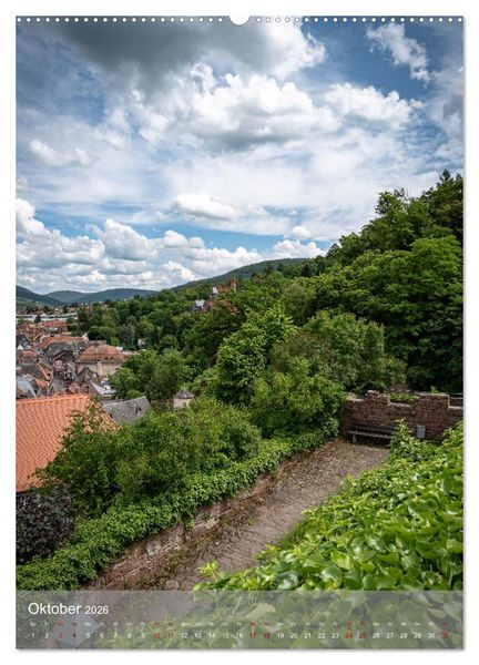 Produktbild: Miltenberg am Mainviereck (Wandkalender 2026 DIN A2 hoch), CALVENDO Monatskalender
