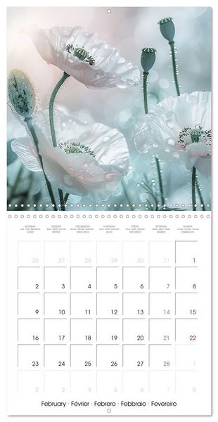 Produktbild: Magical Poppies (Wall Calendar 2026 12 &times; 12 Inch) CALVENDO 12 Month Wall Calendar