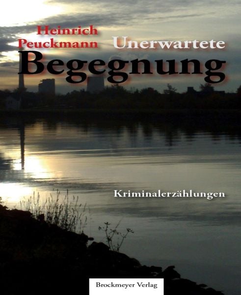 Produktbild: Unerwartete Begegnung.
