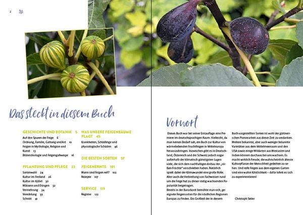 Produktbild: Feigen aus dem eigenen Garten