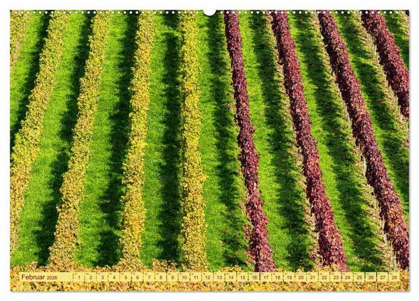 Produktbild: Farbenpr&auml;chtige Weinberge (hochwertiger Premium Wandkalender 2026 DIN A2 quer), Kunstdruck in Hochglanz