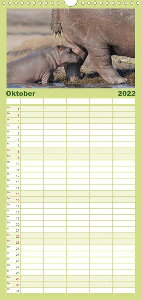 Produktbild: Flusspferde Magie des Augenblicks - Hippos in Afrika - Familienplaner hoch (Wandkalender 2022 , 21 cm x 45 cm, hoch)