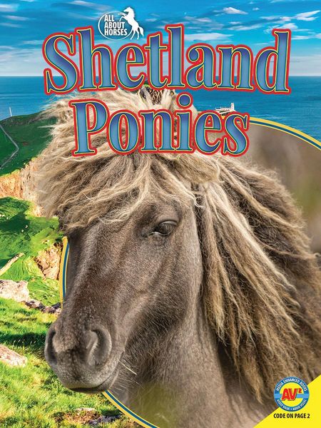Produktbild: Shetland Ponies
