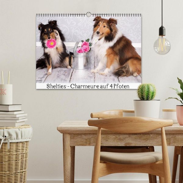 Produktbild: Shelties : Charmeure auf 4 Pfoten (Wandkalender 2026 DIN A3 quer), CALVENDO Monatskalender