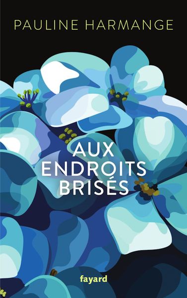 Produktbild: Aux endroits bris&eacute;s
