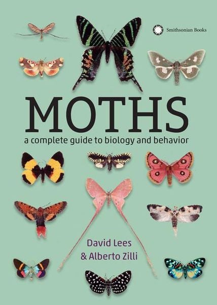 Produktbild: Moths