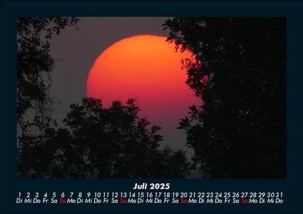 Produktbild: B&auml;ume 2025 Fotokalender DIN A5