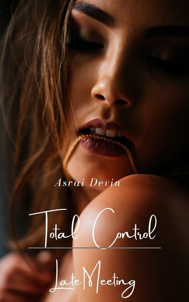 Produktbild: Total Control: Late Meeting