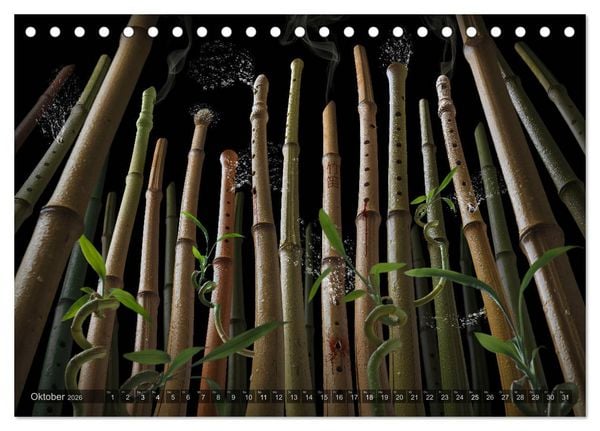 Produktbild: Musica fant&aacute;sia - Die wundersame Welt des Fotok&uuml;nstlers Olaf Bruhn (Tischkalender 2026 DIN A5 quer), CALVENDO Monatskalender