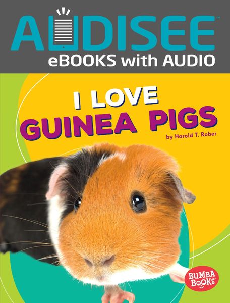 Produktbild: I Love Guinea Pigs