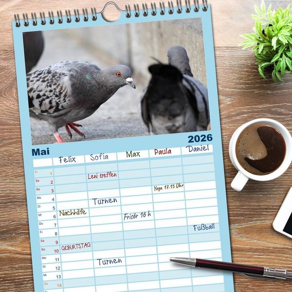 Produktbild: Familienplaner 2026 - Geliebte Tauben mit 5 Spalten (Wandkalender, 21 x 45 cm) CALVENDO