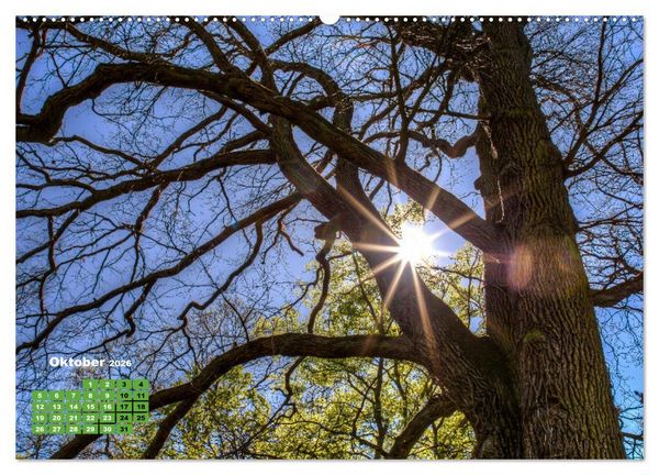 Produktbild: Park Sch&ouml;nbusch Aschaffenburg (Wandkalender 2026 DIN A2 quer), CALVENDO Monatskalender