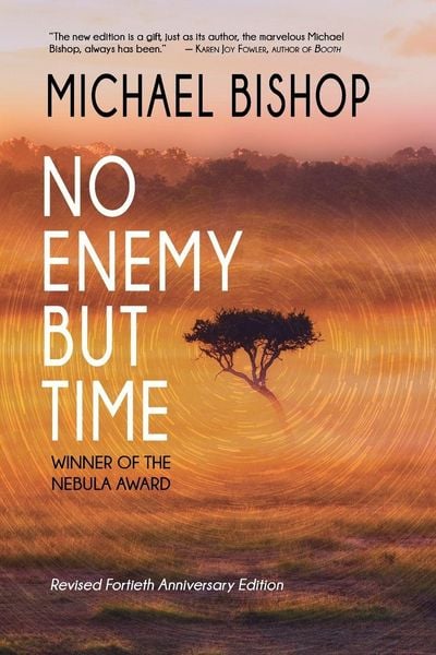 Produktbild: No Enemy but Time