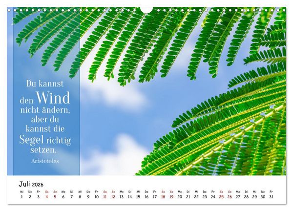 Produktbild: Lebensweisheiten, motivierende Spr&uuml;che und kluge Zitate mit Bildern der Natur (Wandkalender 2026 DIN A3 quer), CALVENDO Monatskalender