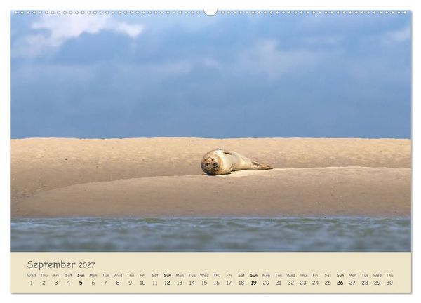 Produktbild: Wild encounters &ndash; Moments in the heart of nature (High Quality Premium Wall Calendar 2027 DIN A2 landscape),CALVENDO 12 Month Wall Calendar