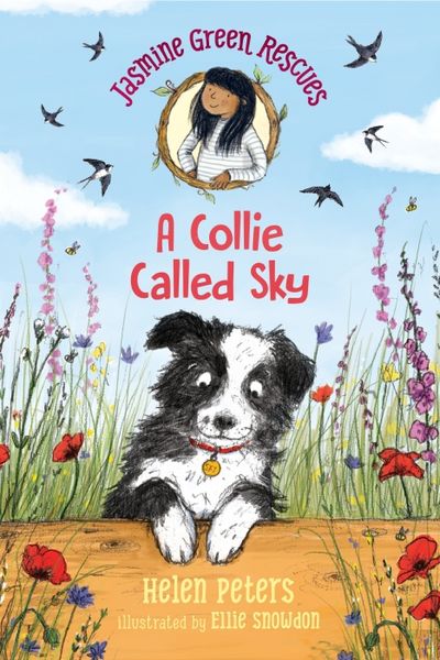Produktbild: Jasmine Green Rescues: A Collie Called Sky