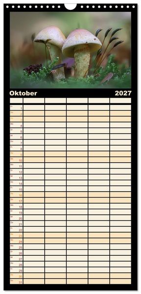 Produktbild: Familienplaner 2027 - Verborgene Wunder mit 5 Spalten (Wandkalender, 21 x 45 cm) CALVENDO