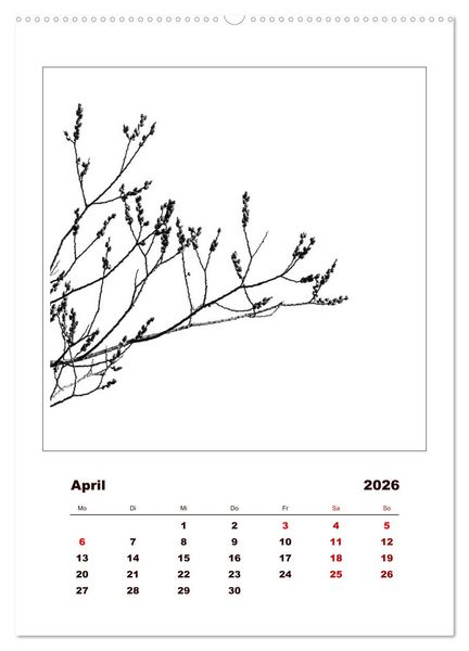Produktbild: LignoGrafica - Muster und Strukturen der B&auml;ume (Wandkalender 2026 DIN A2 hoch), CALVENDO Monatskalender
