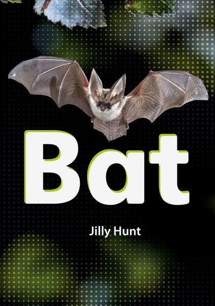 Produktbild: Set 02 - Bat