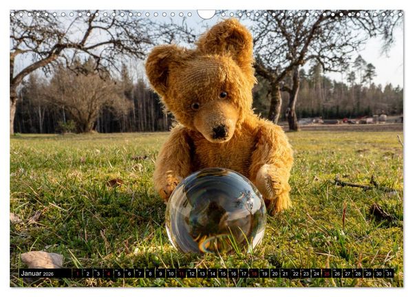 Produktbild: Neue Abenteuer von Teddy Basse (Wandkalender 2026 DIN A3 quer), CALVENDO Monatskalender